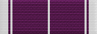 Whoopi Goldberg Diversity Ribbon